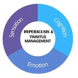 Hyperacusis and Tinnitus Management chart — SEC Model overview